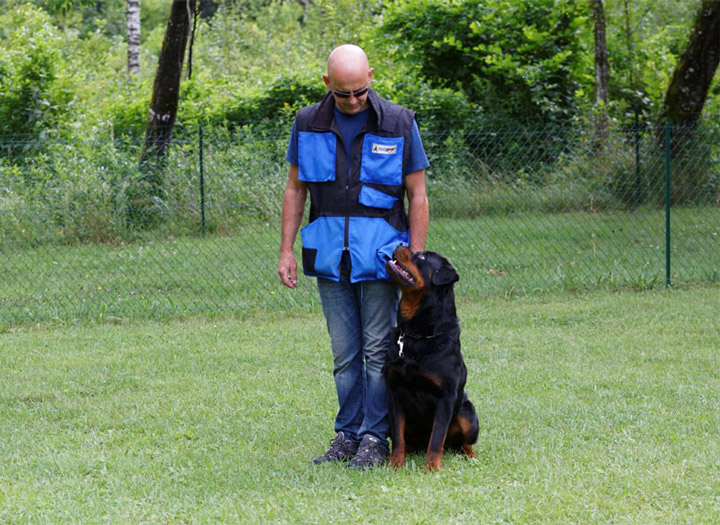 Doug Éducation - Sports canins - Obéissance